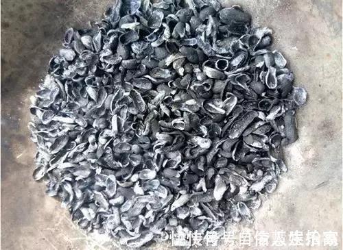 脱盐|这2种“壳”丢了太可惜,埋花土里3年不板结,种什么花都旺!