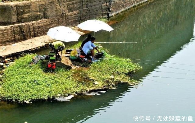 翻倍|夏季天热大鱼都躲在哪里找准几处鱼道野钓，渔获量翻倍！