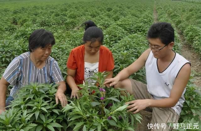 父母|985大学生,活成一个“笑话”,父母:砸锅卖铁供他读书错了吗