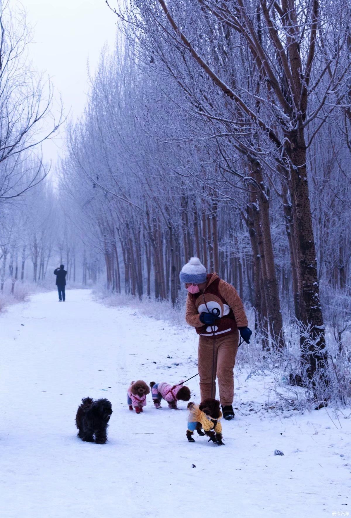 一场雪后惊艳了大抚顺