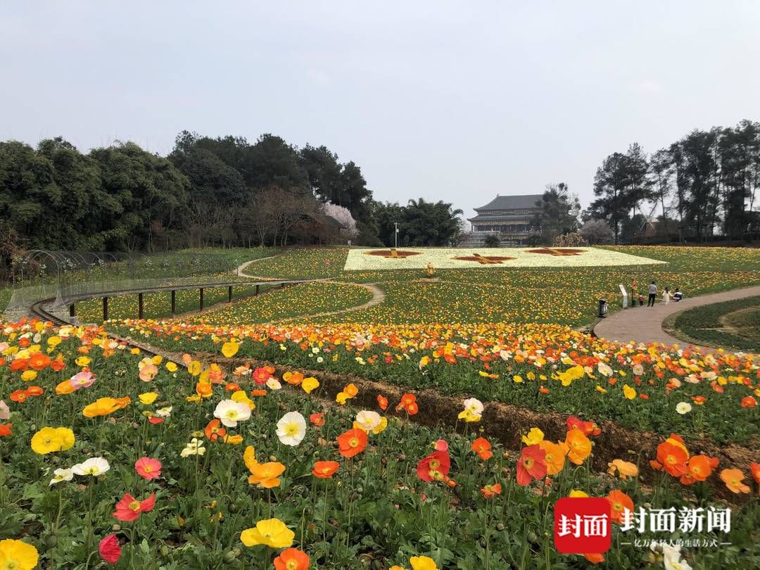 成都|踏春赏花去哪里？这份指南请收好 成都首次发布公园城市春花观赏指数
