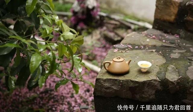 自在|院子里喝茶图个自在