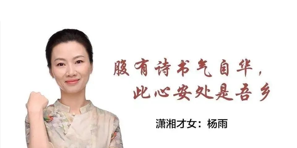 云龙|诗词篇 14 萨都剌《木兰花慢·彭城怀古》