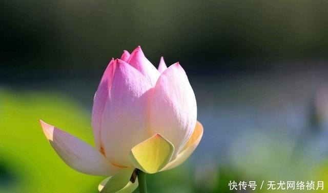 想要|一个人,若想要出人头地,需牢记这三点!