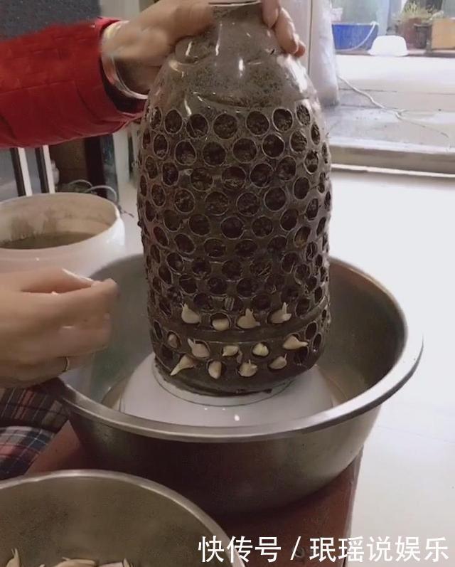 老妈把大蒜放进塑料瓶里,6天之后,满满的惊喜