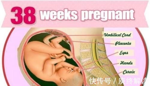 分娩|为什么剖腹产一般在怀孕38周进行,而不是40周呢?