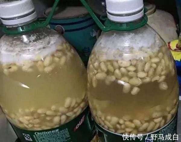 芒种过后,自制3种“浇花肥水”,一个月喂2-3次,根壮叶绿、花艳