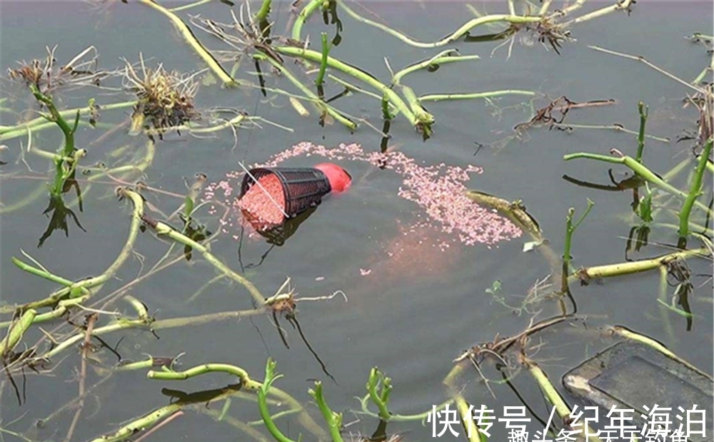 冬季钓鱼,提升咬钩量的3个办法,天冷还想爆护,这些方法要常用