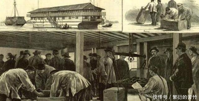 番薯藤|明朝商人陈振龙,不顾危险将番薯藤带回中国,解决数亿人温饱