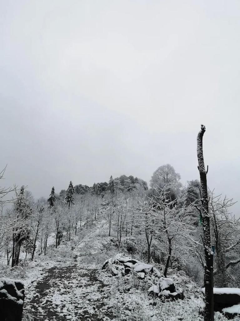 故乡|雪落故乡，让我更认识你——汶川!