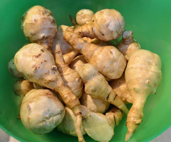 洋姜|40岁女性多吃3种食物,美容养颜,滋润皮肤,好处多多!