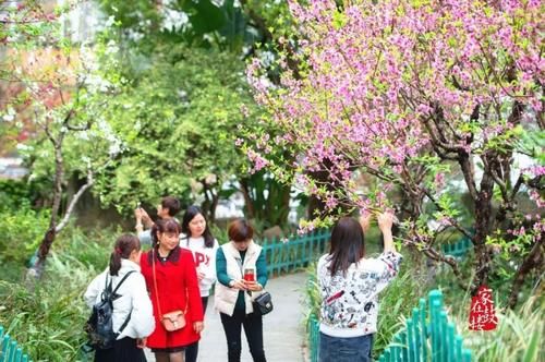 少女心炸裂！福州闹市区这个公园美得让人猝不及防！