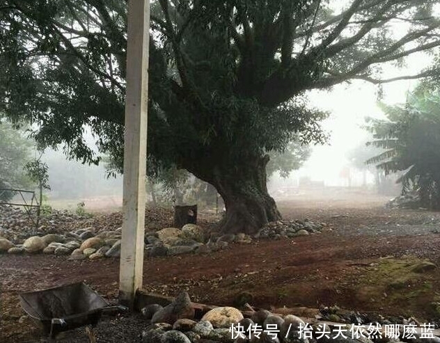 这个地方玛瑙已经泛滥,家家户户都用玛瑙砌墙!