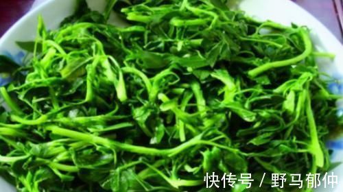 养颜|想长寿全靠吃,3种食物离不开,排毒养颜,好吃又不贵!