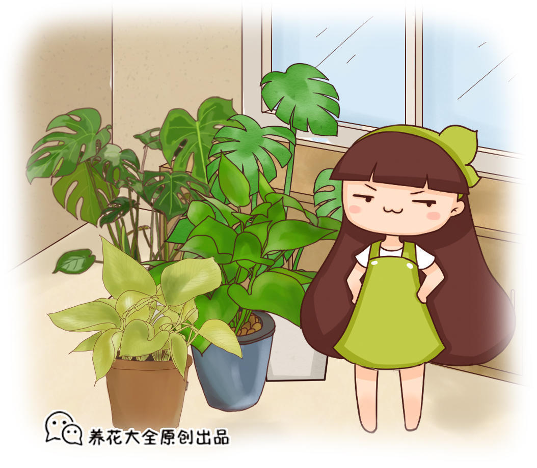 办公室不宜养的“五种”花!香气扑鼻里藏着“大秘密”