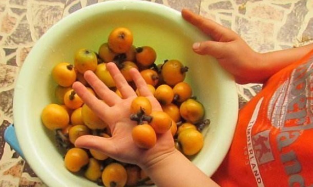 孩子|医生劝诫:此物不给孩子吃,发育慢出牙晚,别当坏毛病,都是教训