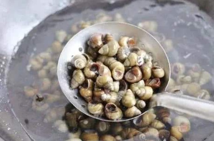 这4类食材必须要焯水，别偷懒！不要等到吃出问题了再后悔