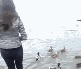 |搞笑gif:好好的一个美女,怎么摔得这么惨啊!看着让人心生怜悯!