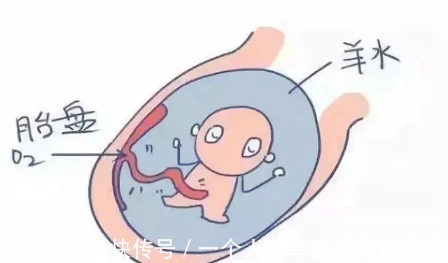妈妈|四维彩超单上的三个数据,暗示胎儿发育好不好,孕妈学会看更省心