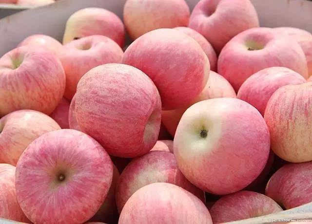 苹果|苹果和它一起煮,降低胆固醇抗氧化!吃了皮肤好,身材更苗条!