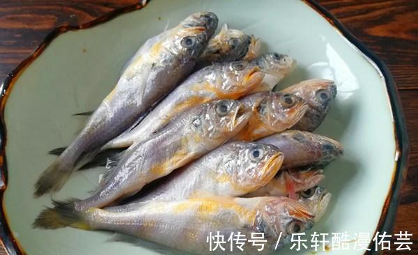 黄鱼|什么海鱼便宜又好吃呢老渔民买这4种，物美价廉，营养又美味