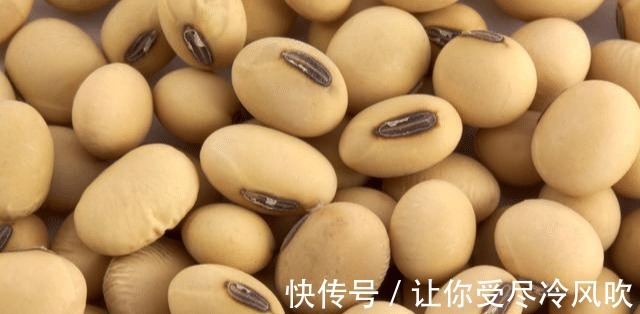 雌激素|女性进入绝经期 吃这6种食物 及时把雌激素补起来！