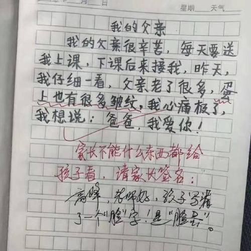 断句|小学生的翻车作文，因断句产生的歧义，老师：不能什么都给孩子看