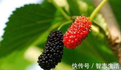 气血不足|女人气血不足,推荐吃的食物,排毒通便,预防衰老,肌肤年轻红润