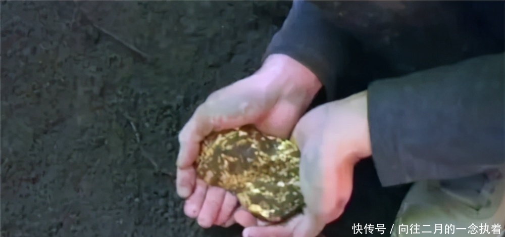 起码|中学生捡到“烂木匣”,藏有193件唐朝金器,专家:起码值1150万