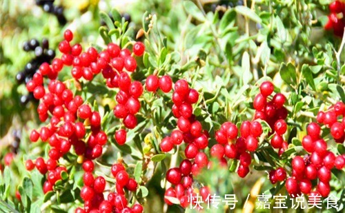 排毒素清|爱美的女性担心变老,不妨多吃4种食物,排毒素清,预防子宫早衰