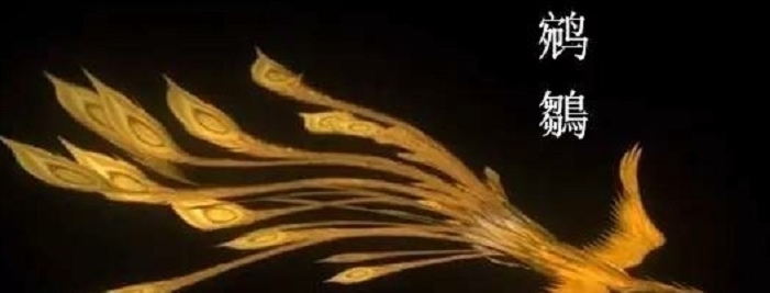 传说中|上古凤凰其实分为五种,你知道几个,其中两种名字一般人读不出来