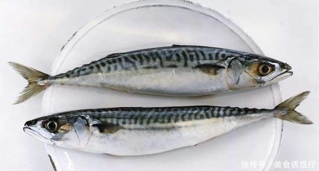 9月这鱼正当季,吃过熏的煎的,整只红烧更“带劲”,7元1斤实惠