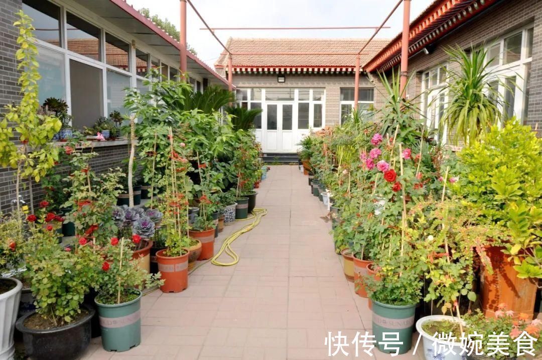 显摆一下我的家丨花开香满院,爱花人在自家庭院建小花园
