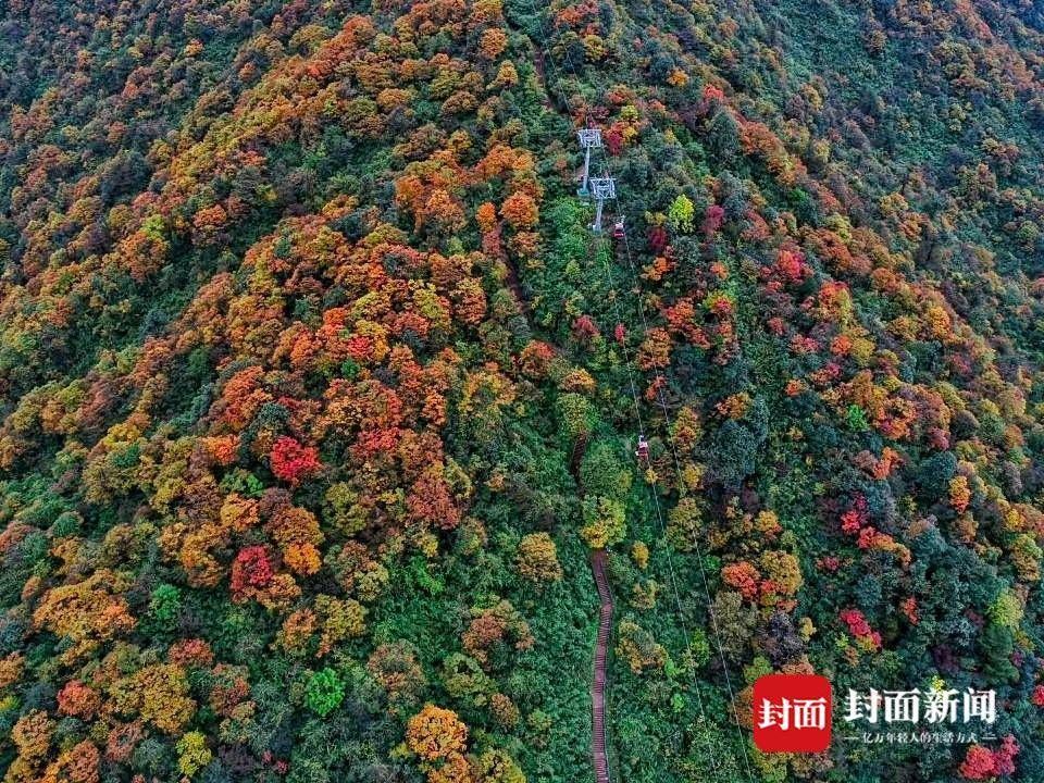 你叫 国庆 吗 四川洪雅瓦屋山10月1日邀你免费游览 全网搜