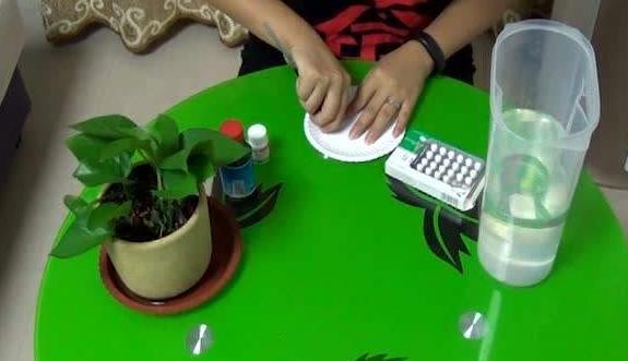 这3款家中常备药，过期了甭扔！简单处理就变成养花材料