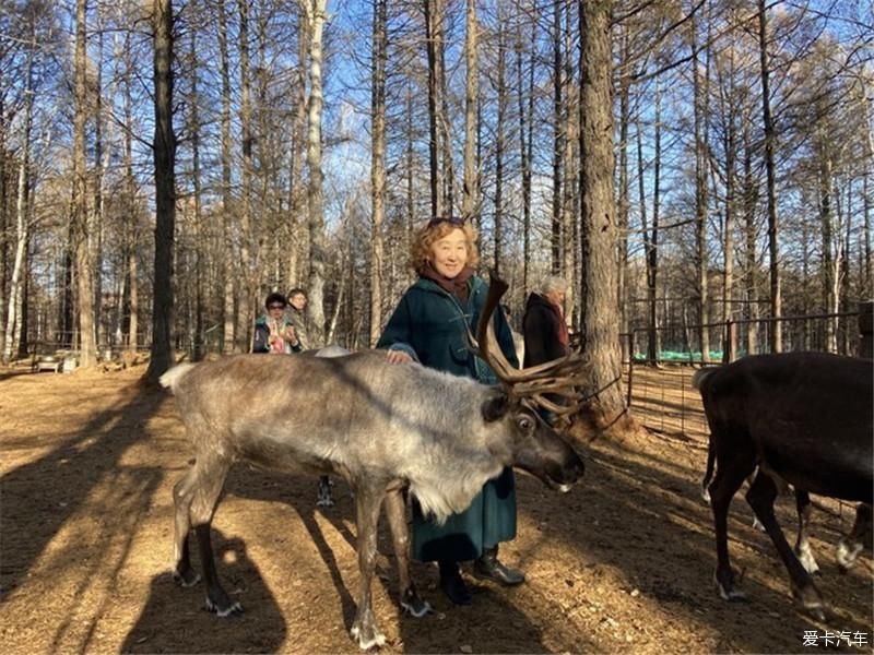 内蒙古行之呼伦贝尔大草原！