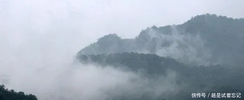 白鹭|鄂州青峰山