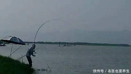 夜钓鲤鱼,这些注意事项能到位,想要空竿都难
