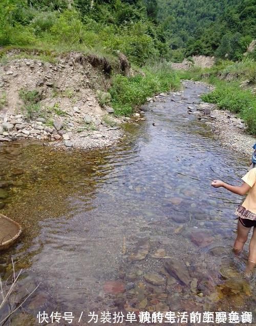 养花|营养土还在买?3种东西混一混,变成万能花土,养啥旺啥!