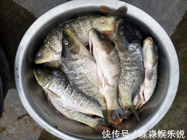 李师傅|51岁厨师徒弟和72岁师傅搭班做宴席，两人一天挣300元