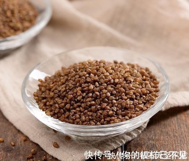 泡水|高血压高血脂怎么办?路边不值钱的它泡水喝,血脂血压悄悄降下来