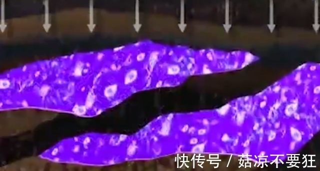 化合物|地下石油到底是怎么来的?动画演示全程,多年疑惑解开了