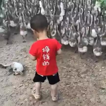 壮壮|爸妈都要出差,把孩子给乡下奶奶带,奶奶发过来的照片,好可爱!