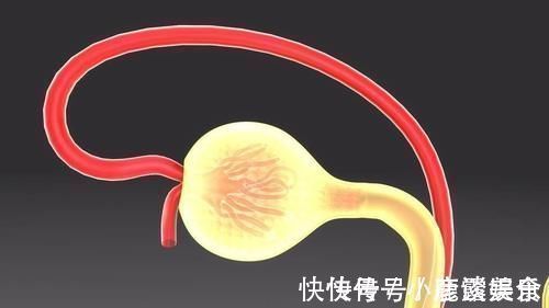 平滑肌细胞|单纯高压升高的老年性高血压,用4分钱一片的降压药,会有用吗?