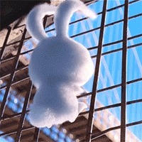 高顺|“八本穿越历史小说”不会真有人觉得穿越不是金手指吧