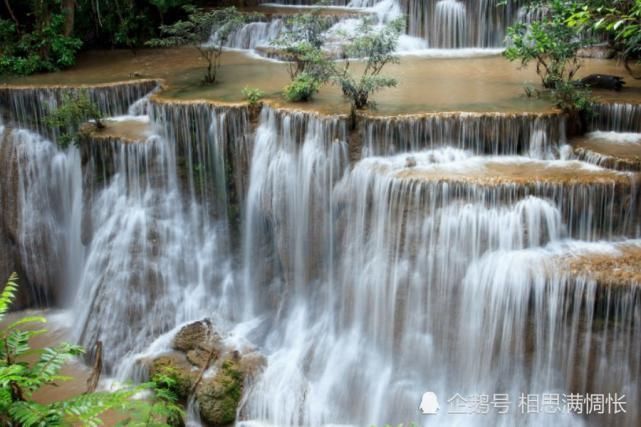 财运|八月开始，横财入运，终于熬出头，财运极佳的生肖