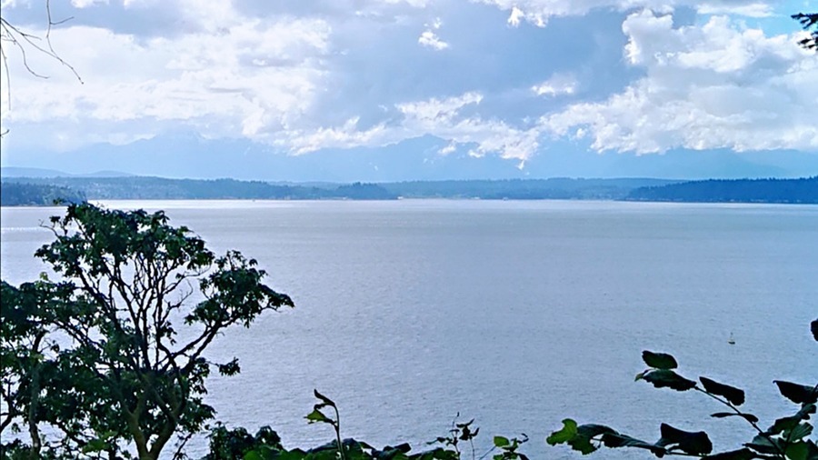 凤凰台@他的这首诗被誉为七律第一,年年入选语文课本