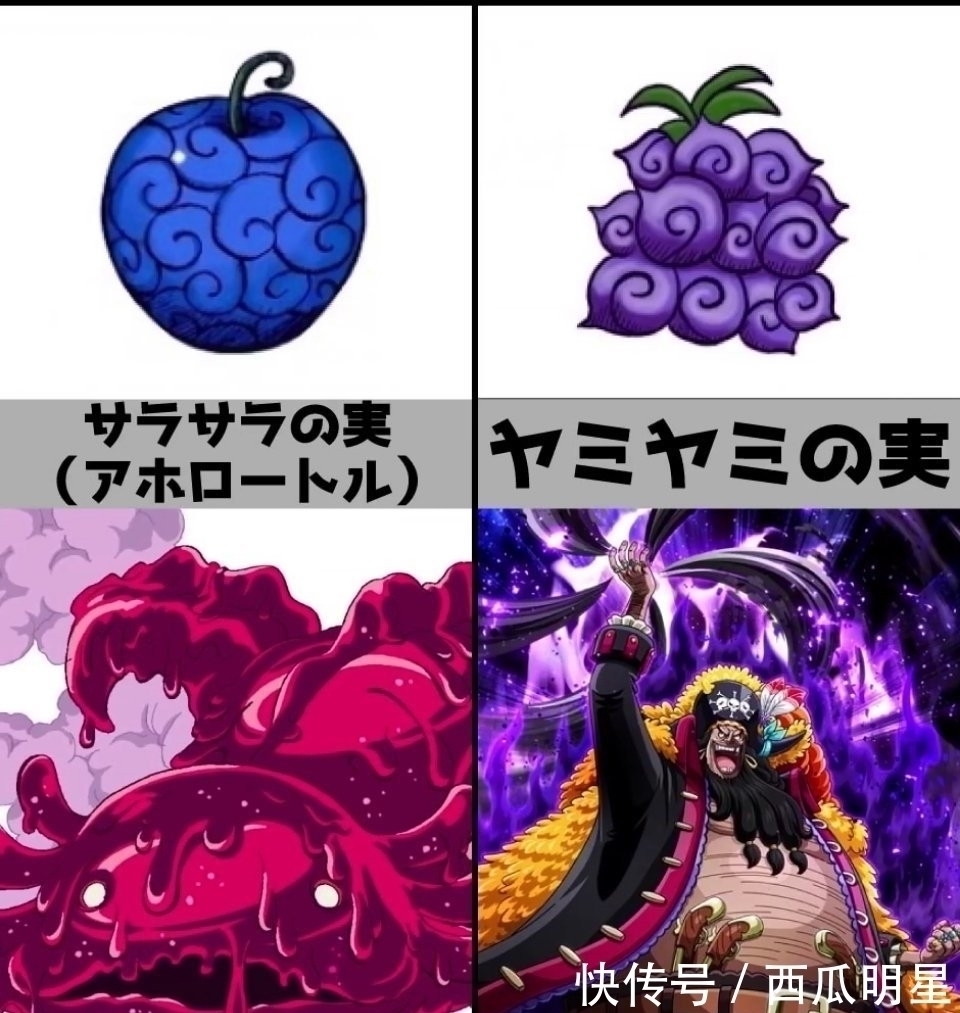 人人果实|《海贼王》恶魔果实,你最想拥有哪种?花花果实最漂亮
