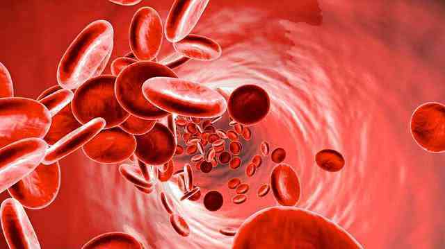 谷胱甘滕胺酸|立秋后,女人常食三物,气虚好了,不凭血了,想要显年轻可以试试