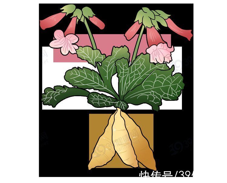 肾虚|中医3个“养肾法”，有助改善肾虚，肾虚没了，很多症状就消失了